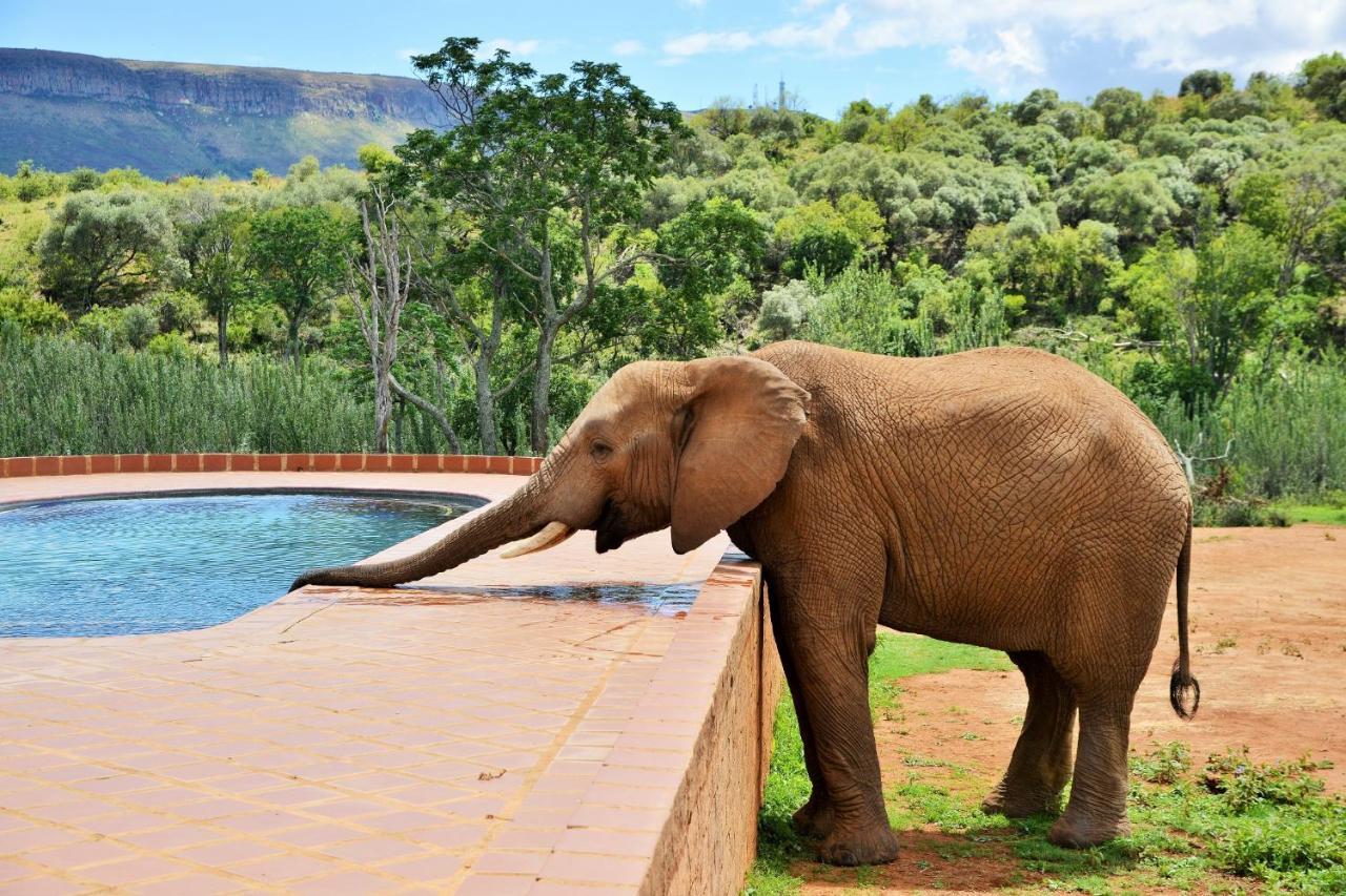 African Hills Safari Lodge & Spa Magaliesburg Esterno foto