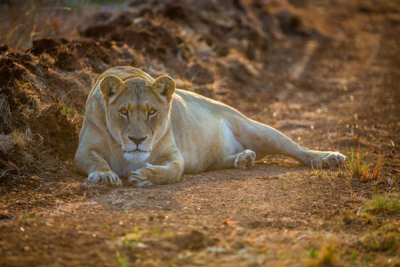 African Hills Safari Lodge & Spa Magaliesburg Esterno foto